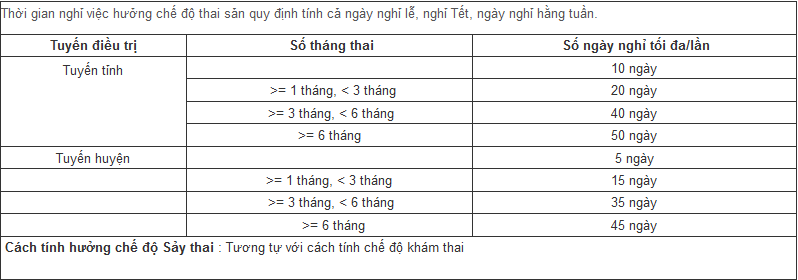 tinh bao hiem