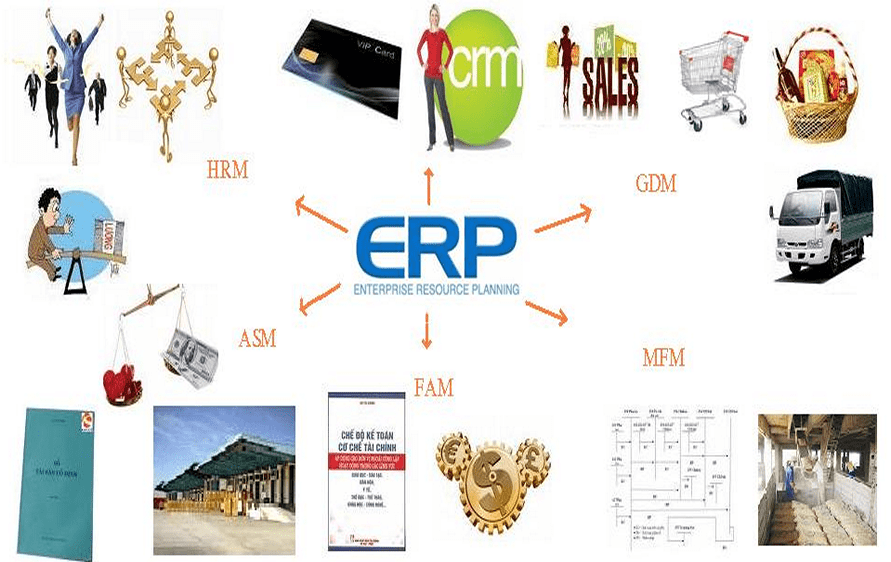 Tầm quan trọng của ứng dụng ERP trong quản lý doanh nghiệp